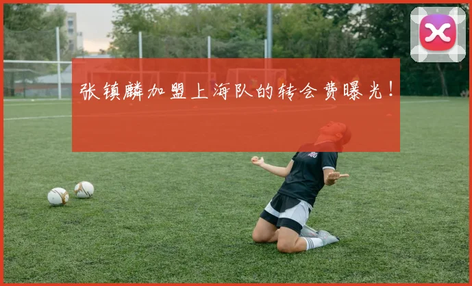 张镇麟加盟上海队的转会费曝光!